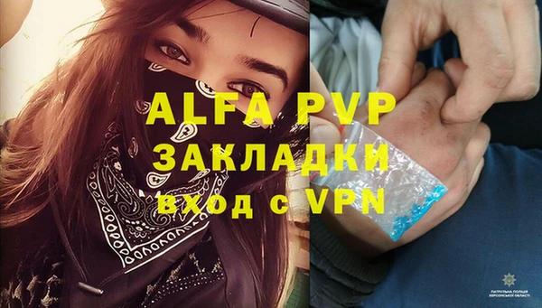 гашик Пенза