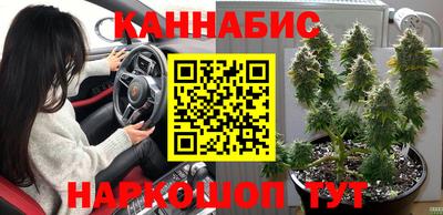 бошки Донецк
