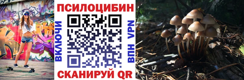 где продают наркотики  Нефтекамск  Псилоцибиновые грибы Psilocybine cubensis 